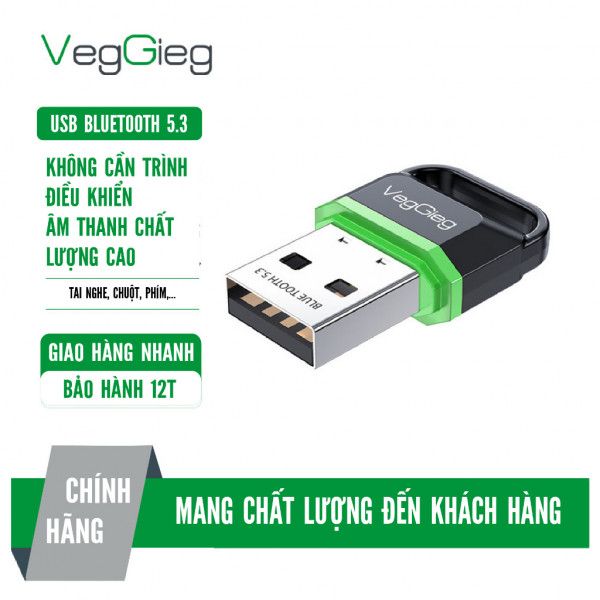 USB Bluetooth 5.3 VegGieg V-UB503