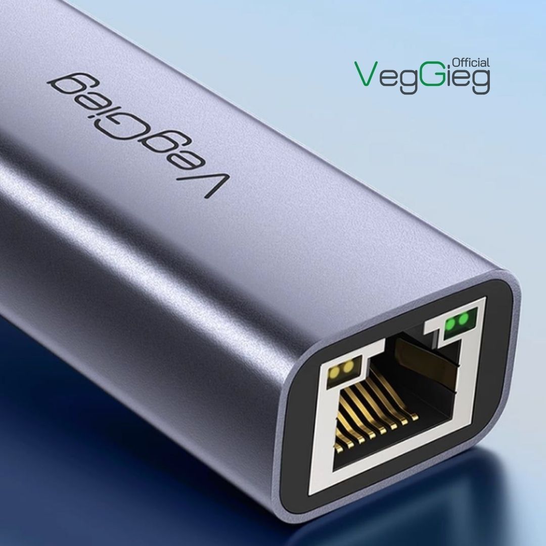 Cáp Chuyển VeggieG USB Type C Sang LAN 100Mbps V-K309