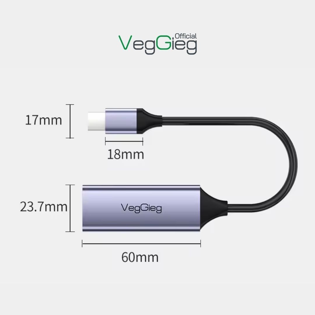 CÁP CHUYỂN VEGGIEG USB TYPE C SANG LAN 1000Mbps V-K308