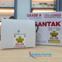 Bộ lưu điện/UPS Santak Offline TG1250 PRO